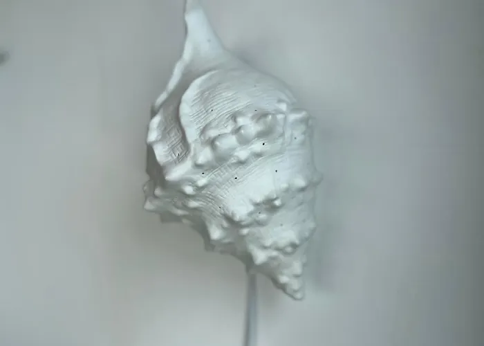 Cantinho Da Maresia *