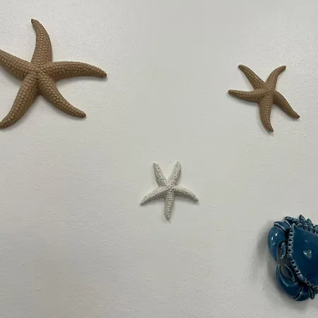 Cantinho Da Maresia Porto Martins