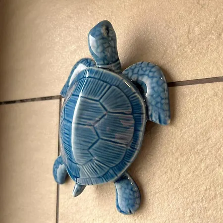 Cantinho Da Maresia דירה *